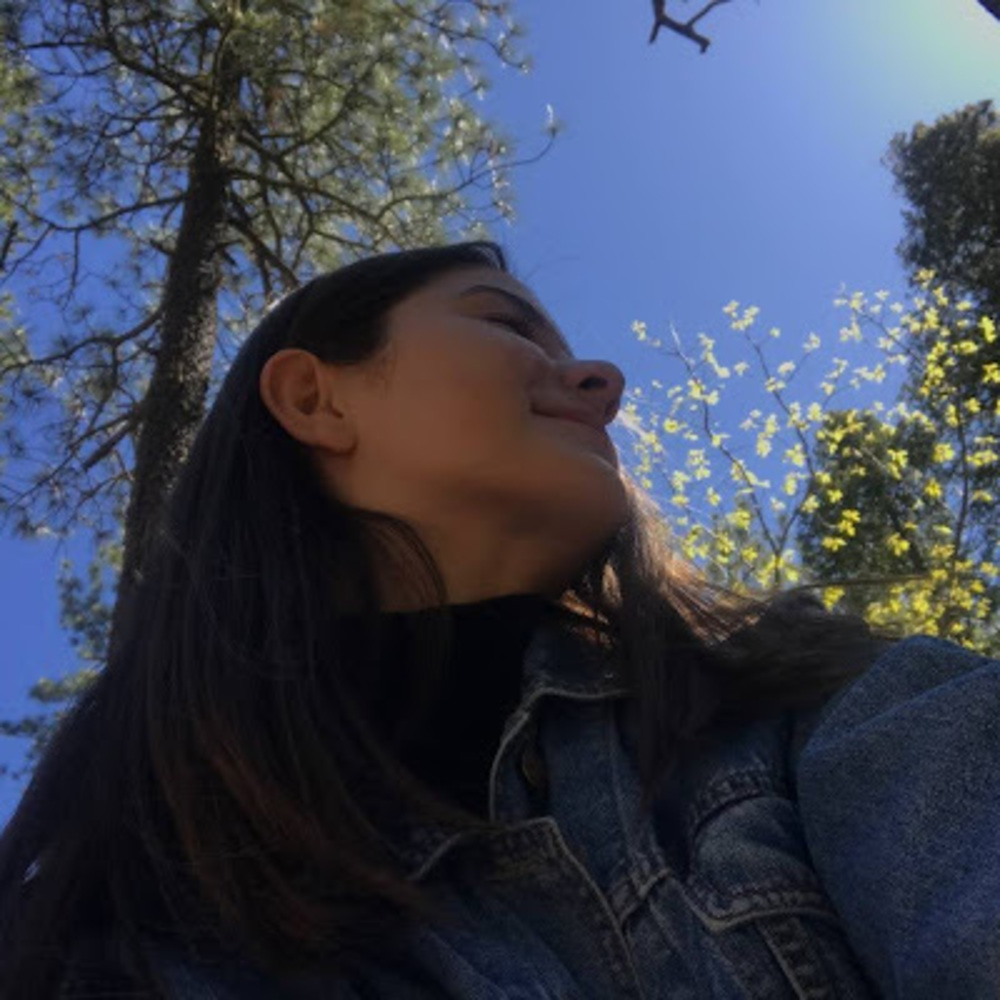 Meet your Posher, Руфа